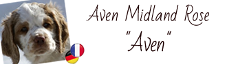 Here you can find the album of Aven
