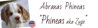 Dukeries' Abraxas Phineas