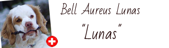Dukeries' Bell Aureus Lunas