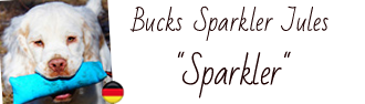 Dukeries' Bucks Sparkler Jules