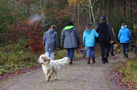 Dukeries' Clumber Spaniel Leya