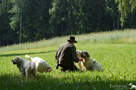 Clumber Spaniel mit Trainer