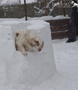 Clumber Spaniel im Schnee