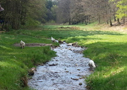 Dukeries' Clumber Spaniel Deli