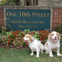 Dukeries' Clumber Spaniel Deli