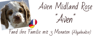 Hier findet man das Fotoalbum von Aven