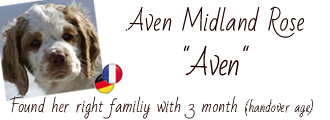 Album of Aven