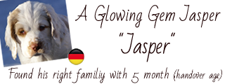 Album of Jasper