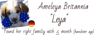 Album of Leya