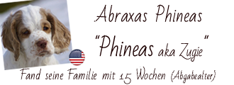 Dukeries' Abraxas Phineas