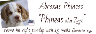 Album of Phineas