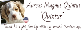 Album of Quintus