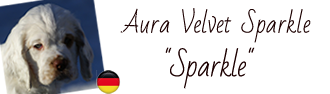 Dukeries' Aura Velvet Sparkle