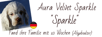 Dukeries' Aura Velvet Sparkle