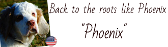 Album of Phoenix