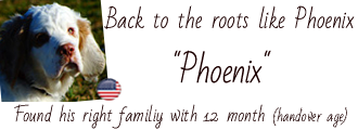 Album of Phoenix