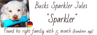 Album of Sparkler