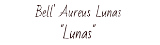 Here you can find the album of Lunas