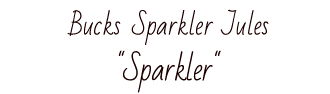 Here you can find the album of Sparkler