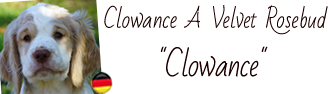Hier findet man das Fotoalbum von Clowance