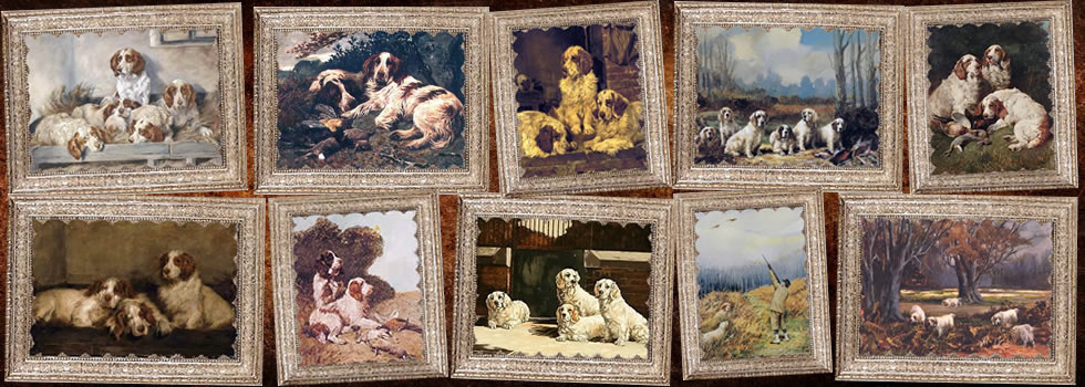 Clumber Spaniels of the Dukeries